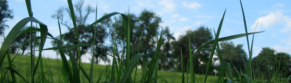 Tintenblau Schreibstube